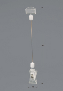 C1T(S100)-2M1